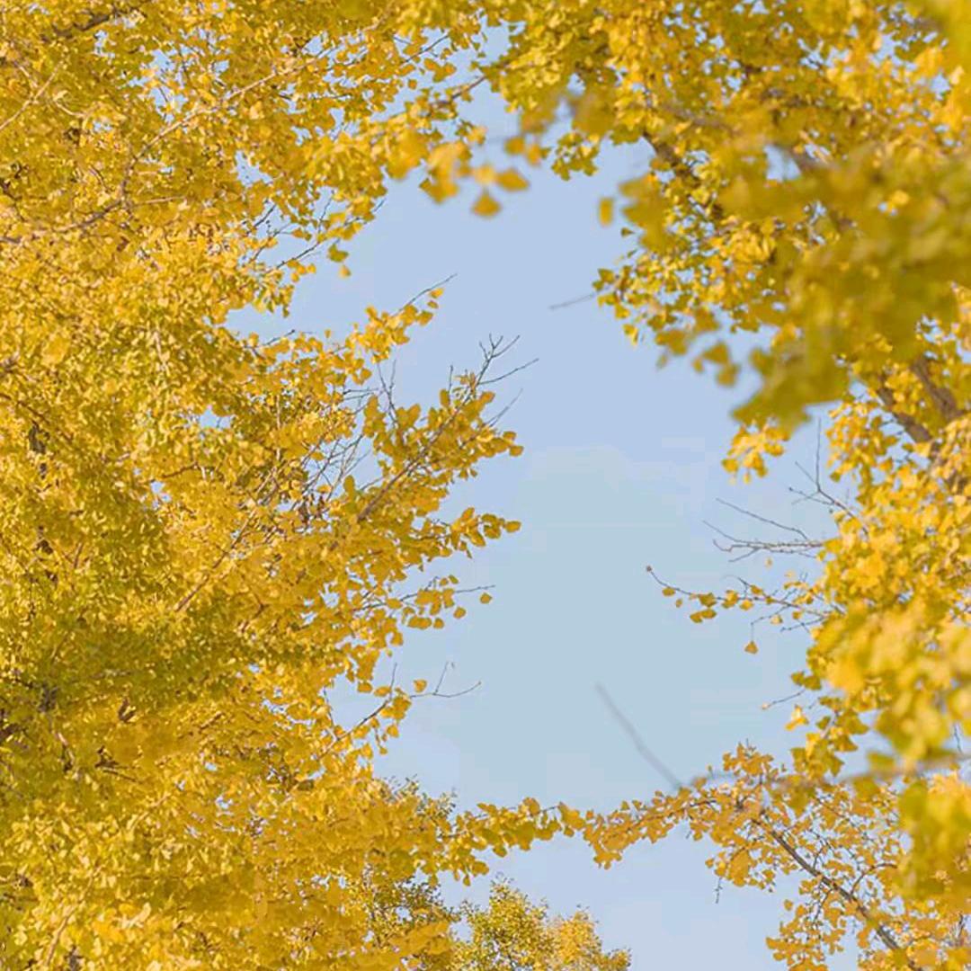 冬天的，，，，，雨