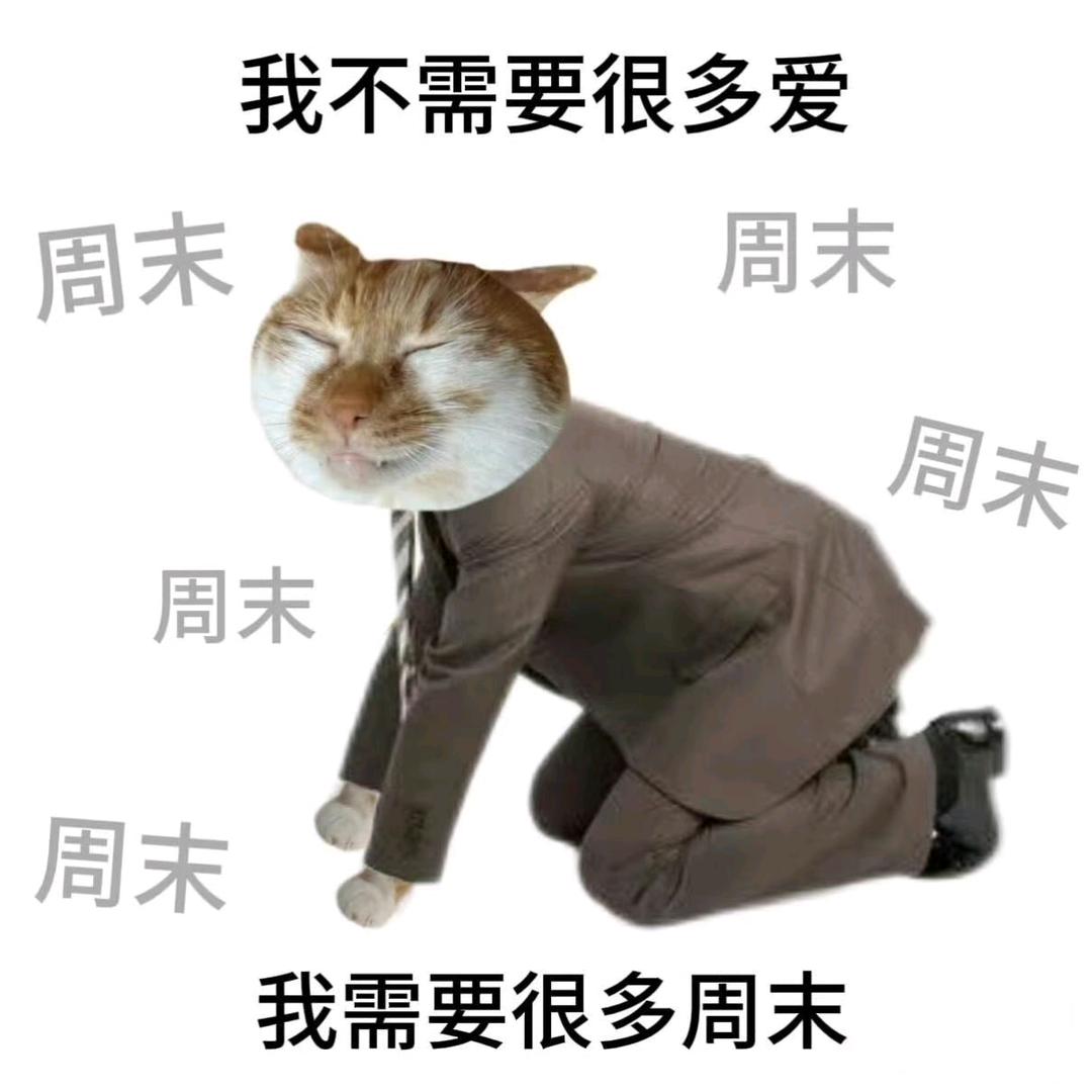 摸鱼大仙要上班