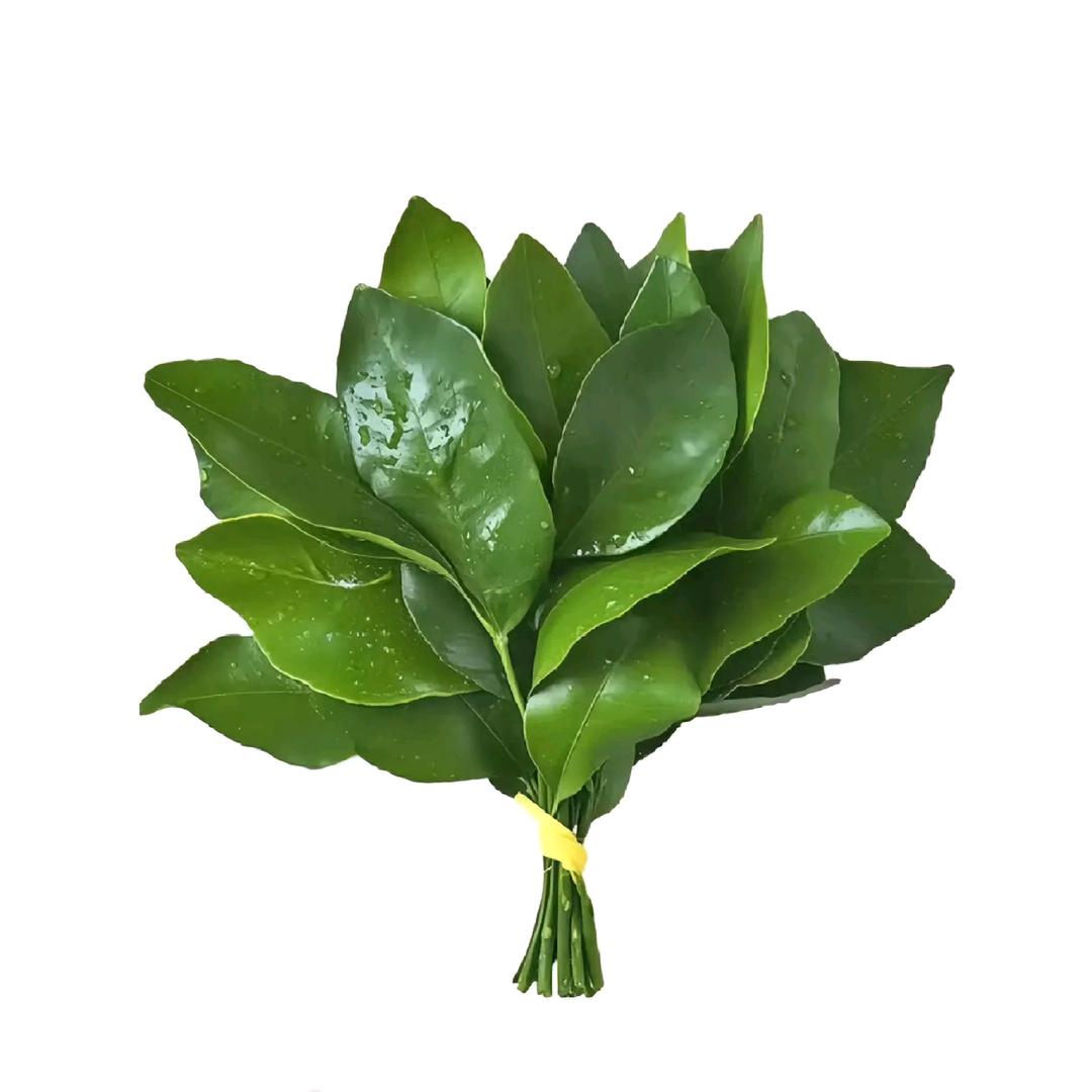 卫祥·五个毛🫧