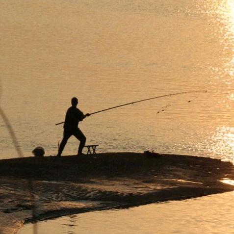 林锅锅爱钓鱼🎣