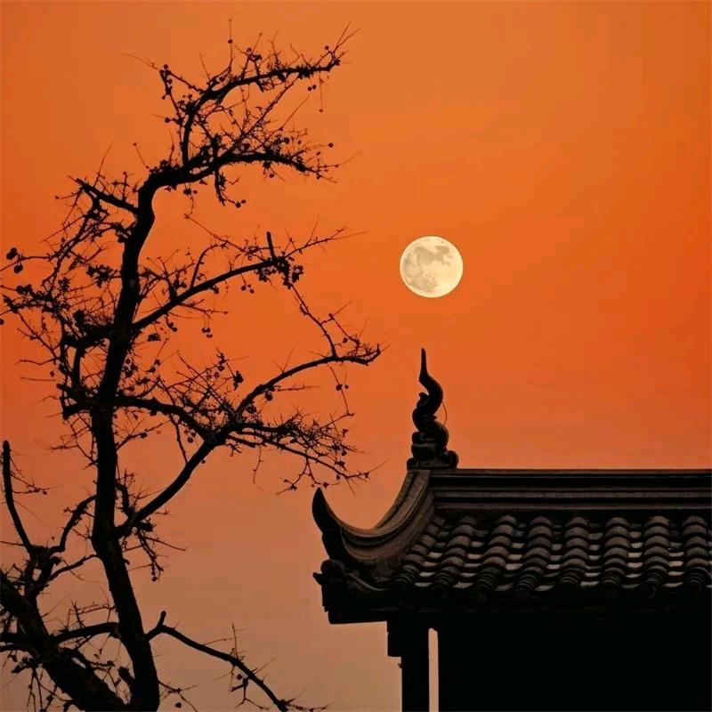 篮球mc～顾暖