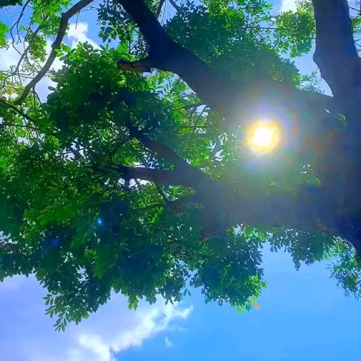 水沐慕