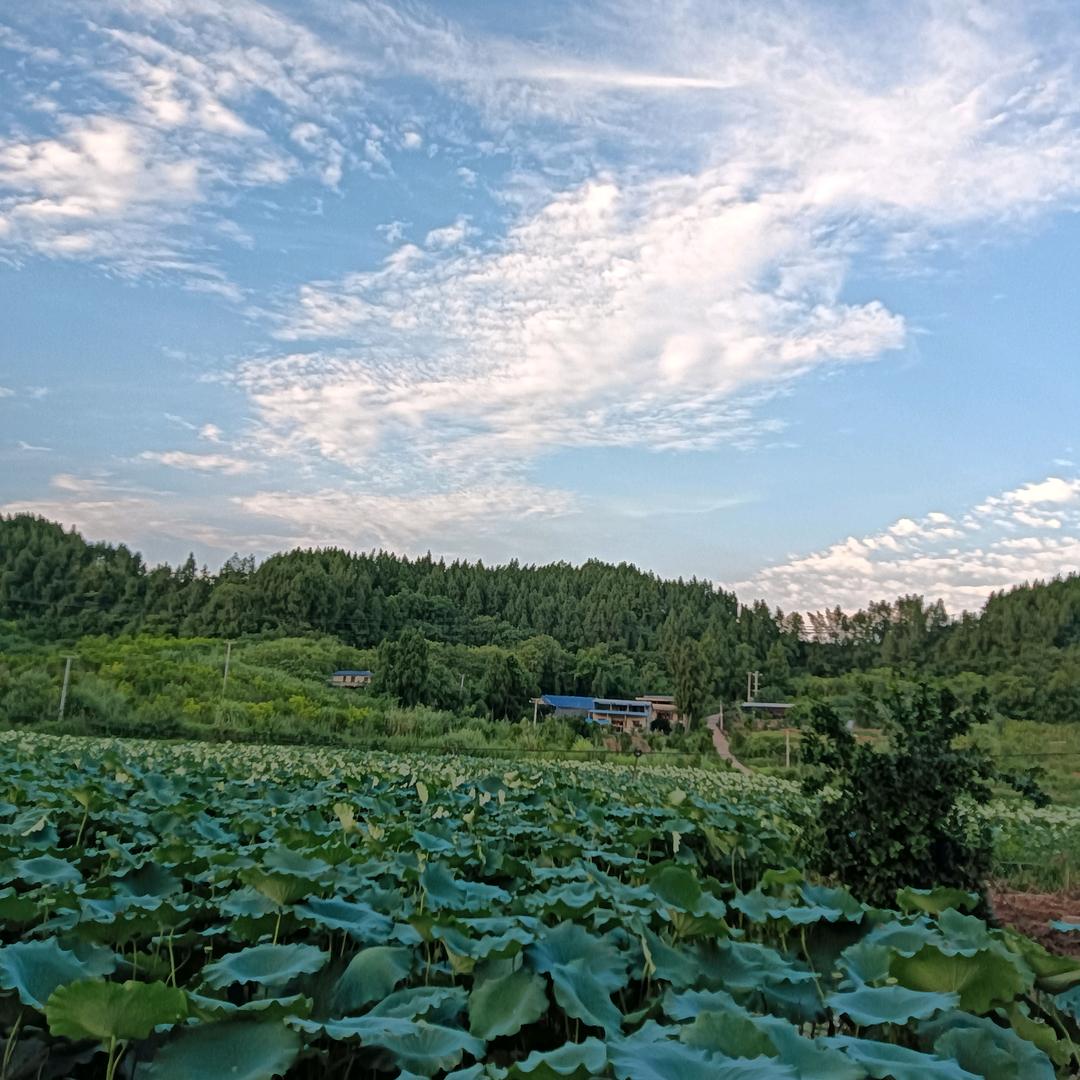 ঐ᭄ꦿ普ღ᭄🥀⃟通人℘⸙