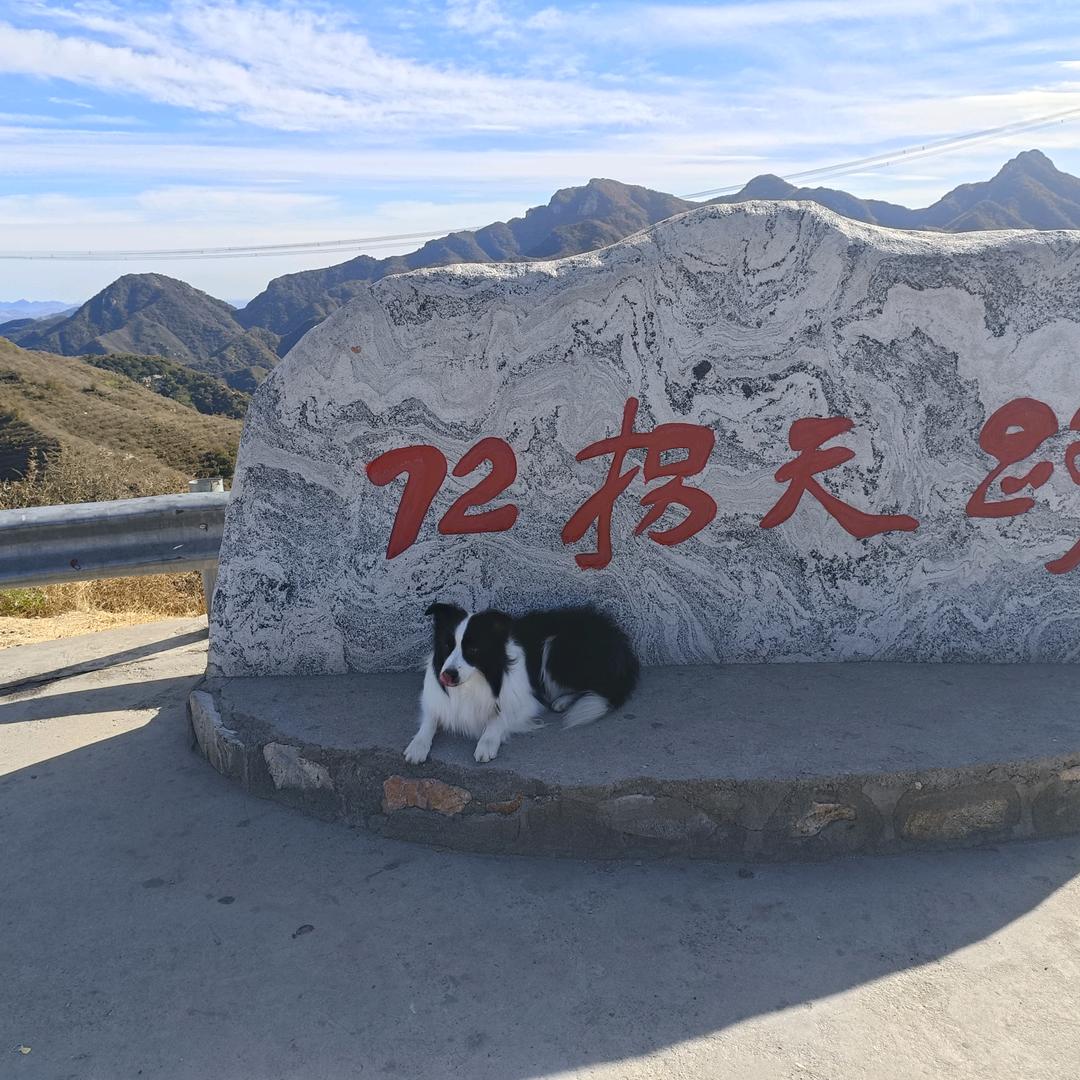 期待遇见(兄弟)