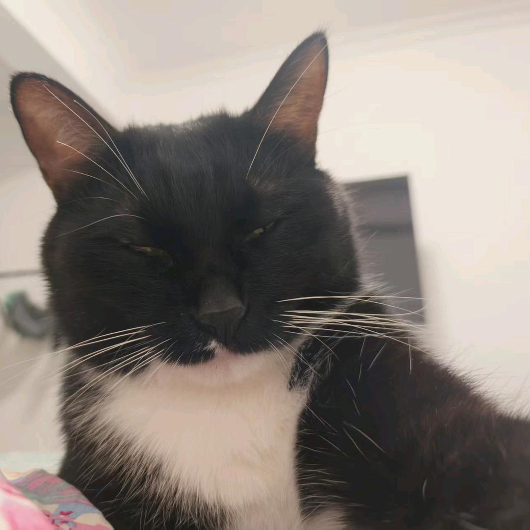 壹貳叁肆伍陆柒