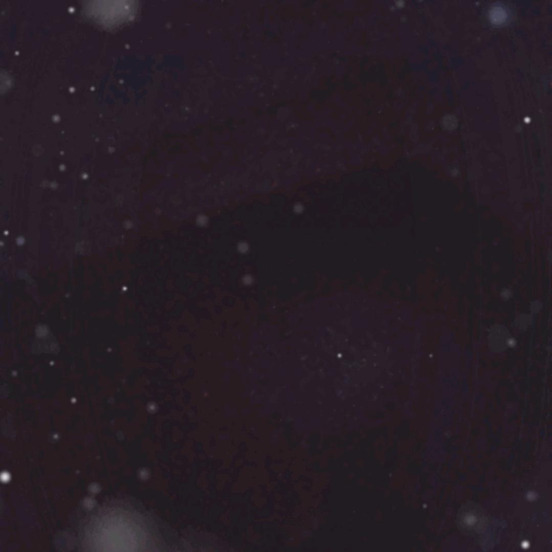 柒零后