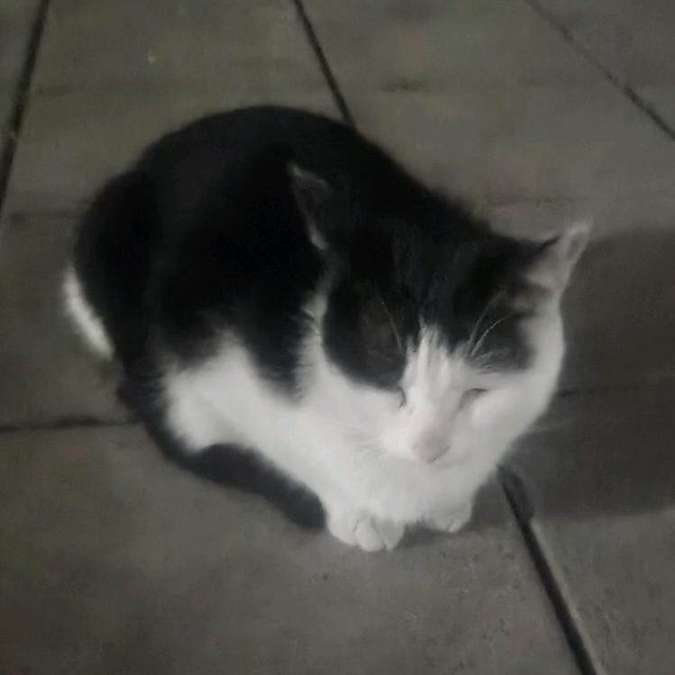 前男友偷亲gay蜜出走的那个夜晚