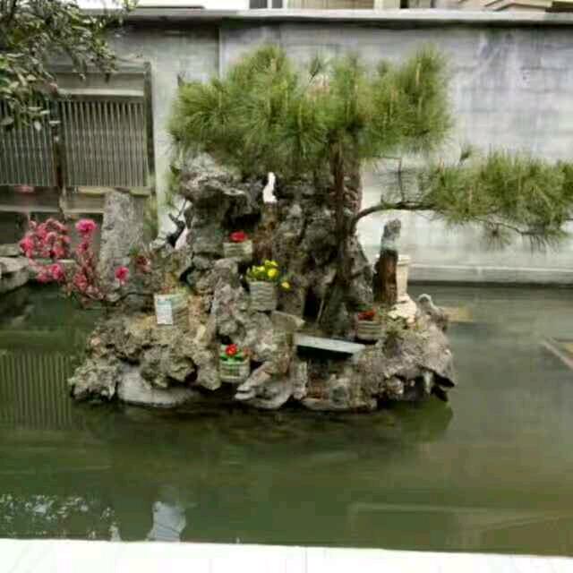 雨后彩虹🌹💔🌹