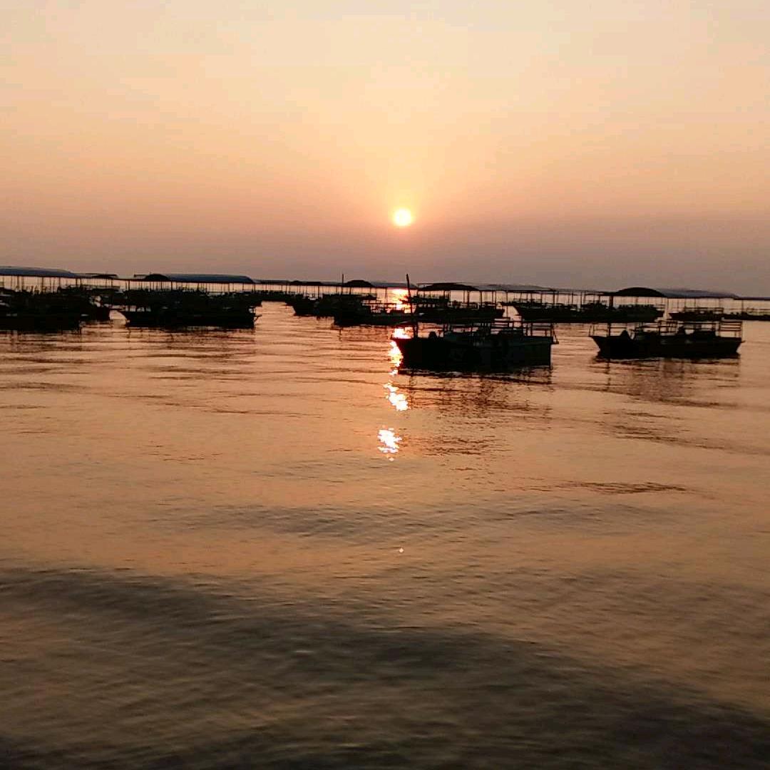 鱿鱼