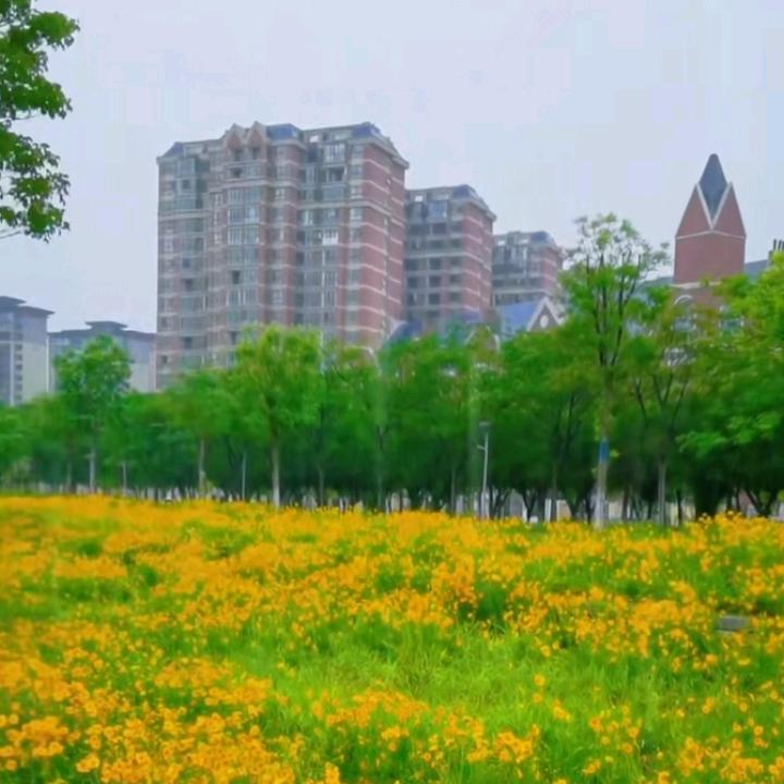 阿桂特色卤肉    汝南椒麻鸡