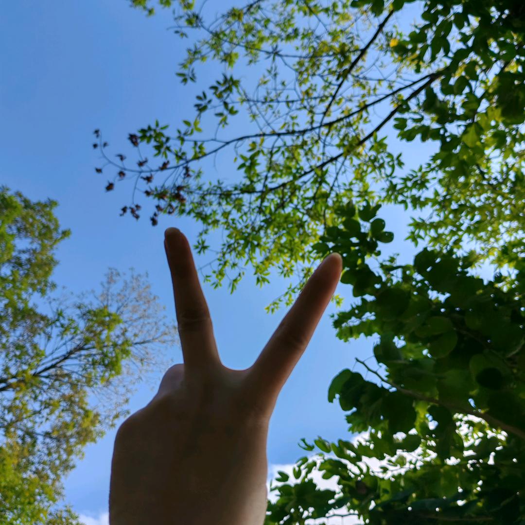 小向（游戏推广）