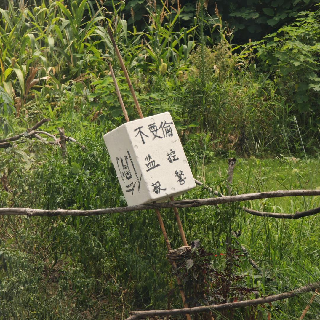 库库短剧