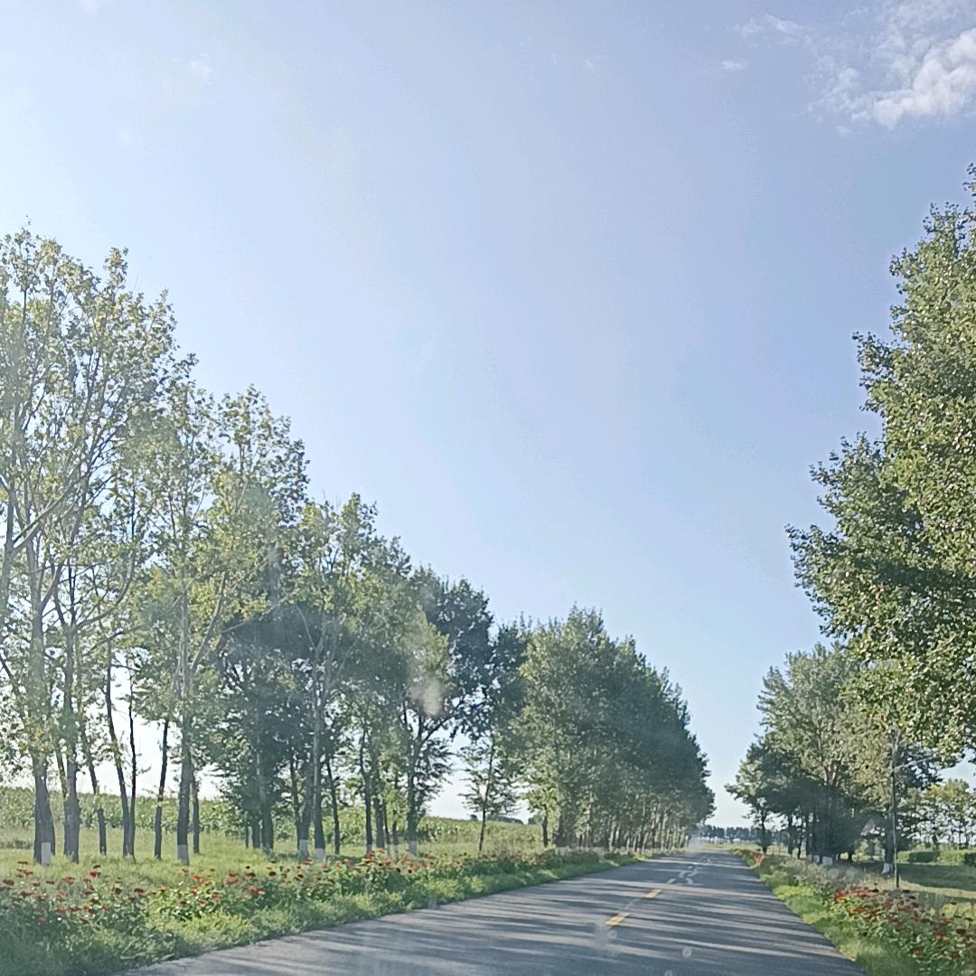 🦋ℒᎭℯ萍💞࿐: