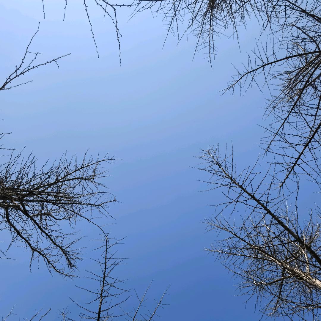 ℋꦿ清ꦿ风ꦿ⁵²⁰এ