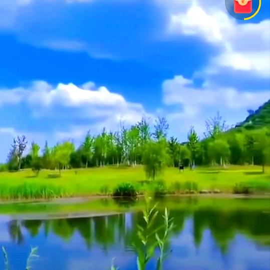 春风十万里YY