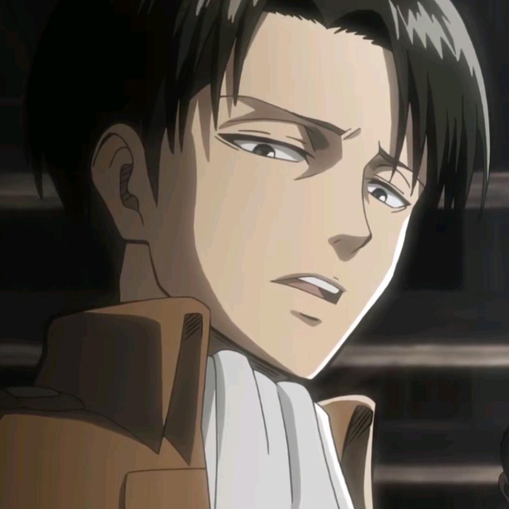 levi