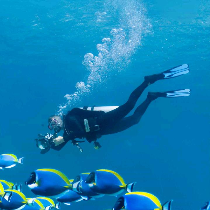 长治亭小腰身材管理-静静