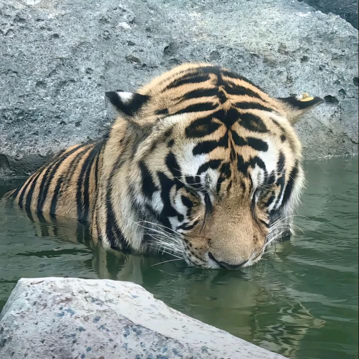 夜市为什么白天不开门