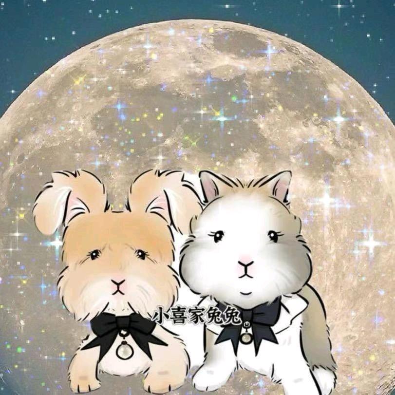 喜兔乐园