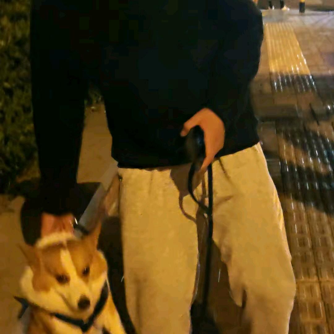 康.
