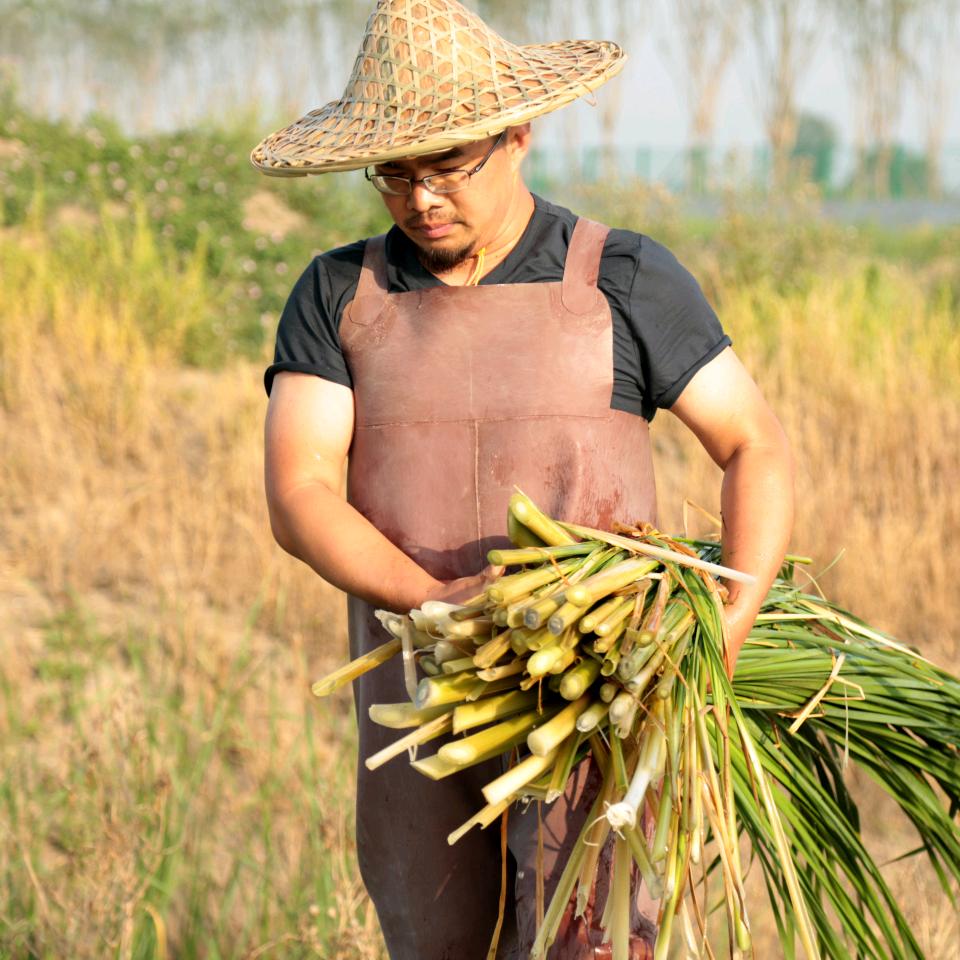 淄博田氏草编（草编兔子批发）二十年老店
