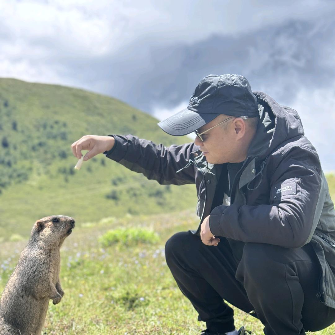 风过林梢