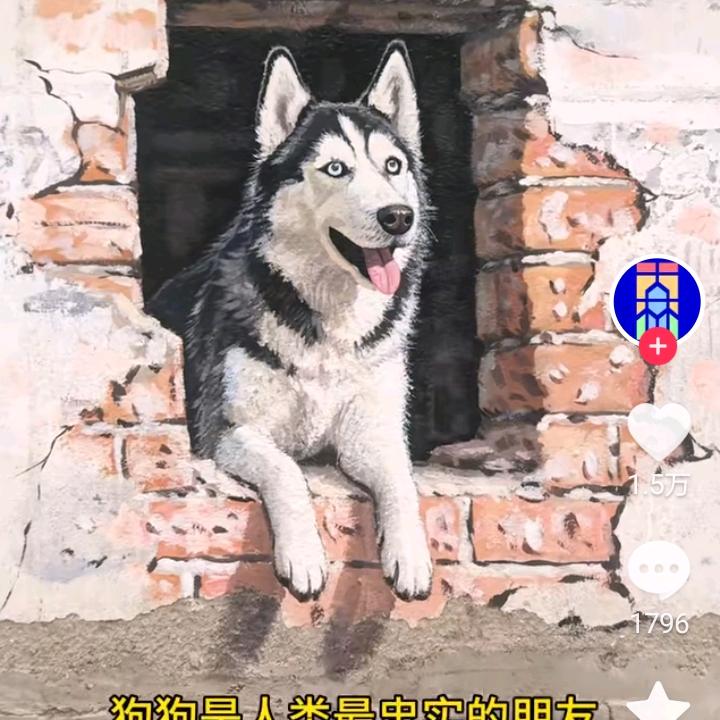 爱布丁（狗狗）