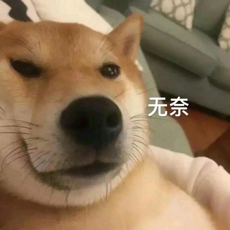 左熊