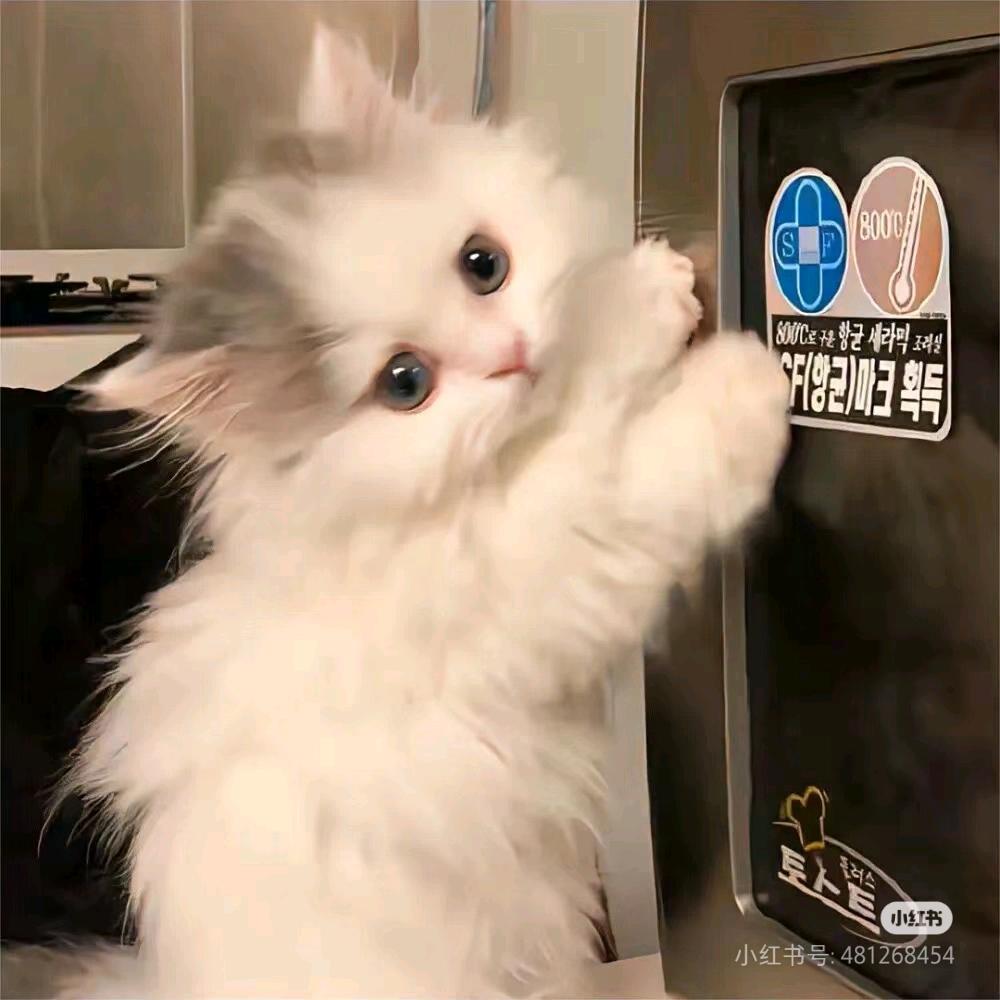 萘萘.