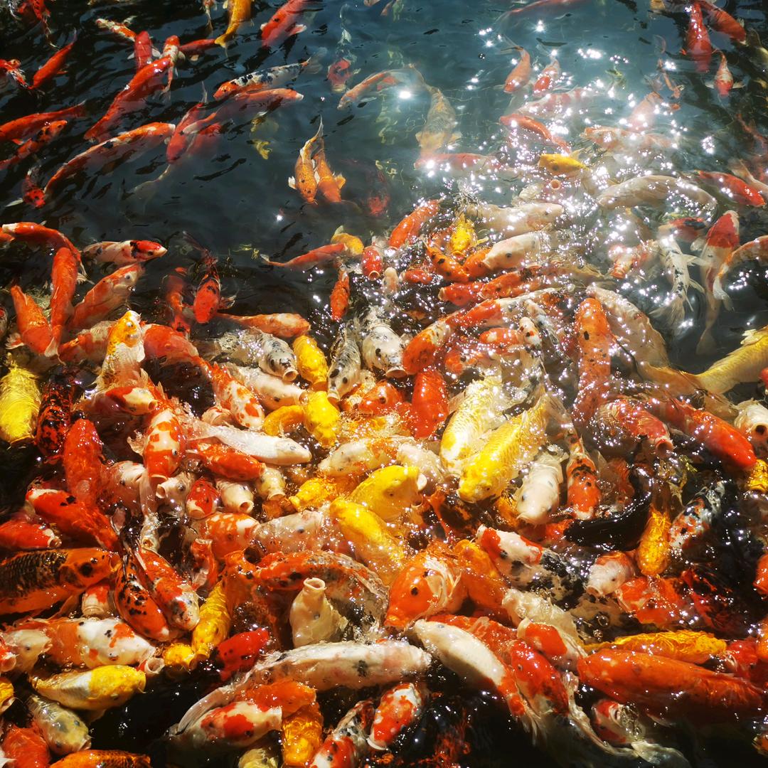 星月家居百货店