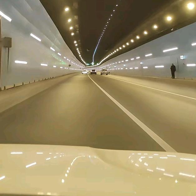 …………...…………...………