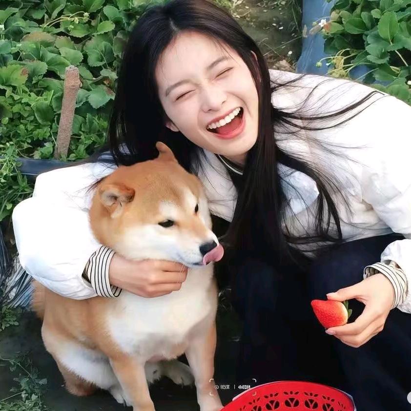 是琳不是玲