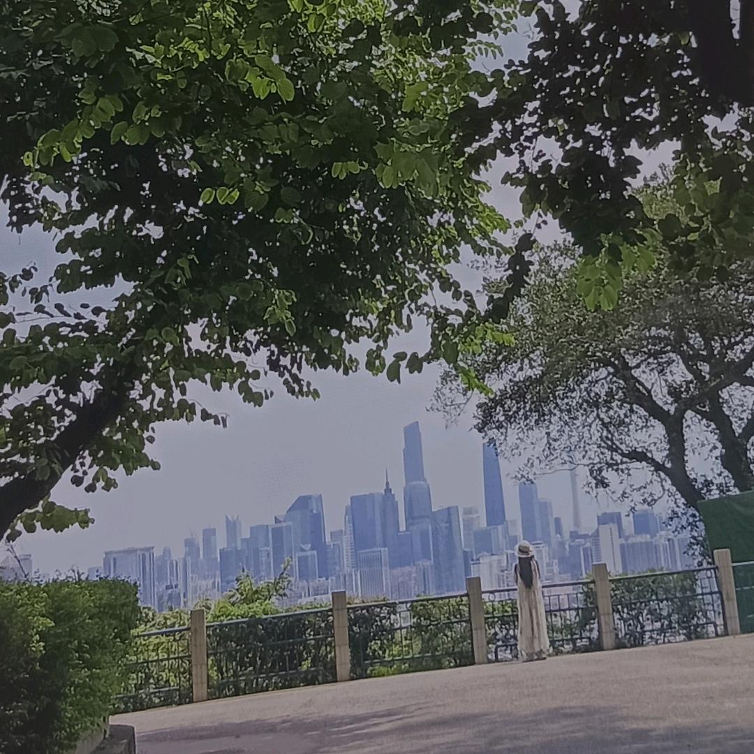 阿紫