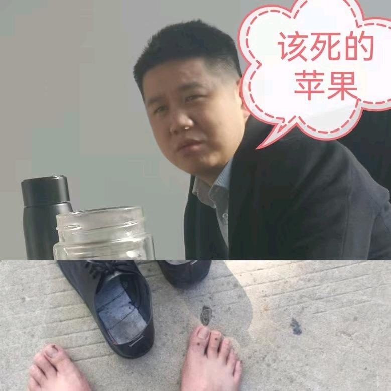 段老枢