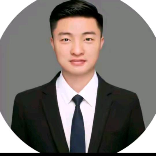 甲光向日金鳞开