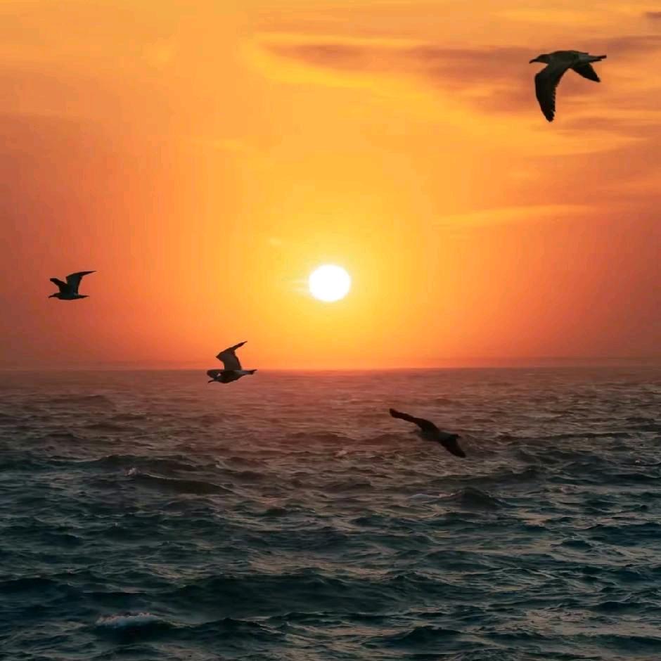 怀♥念&（想念老爹）❤️