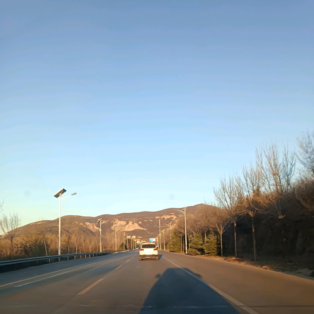 皮庆