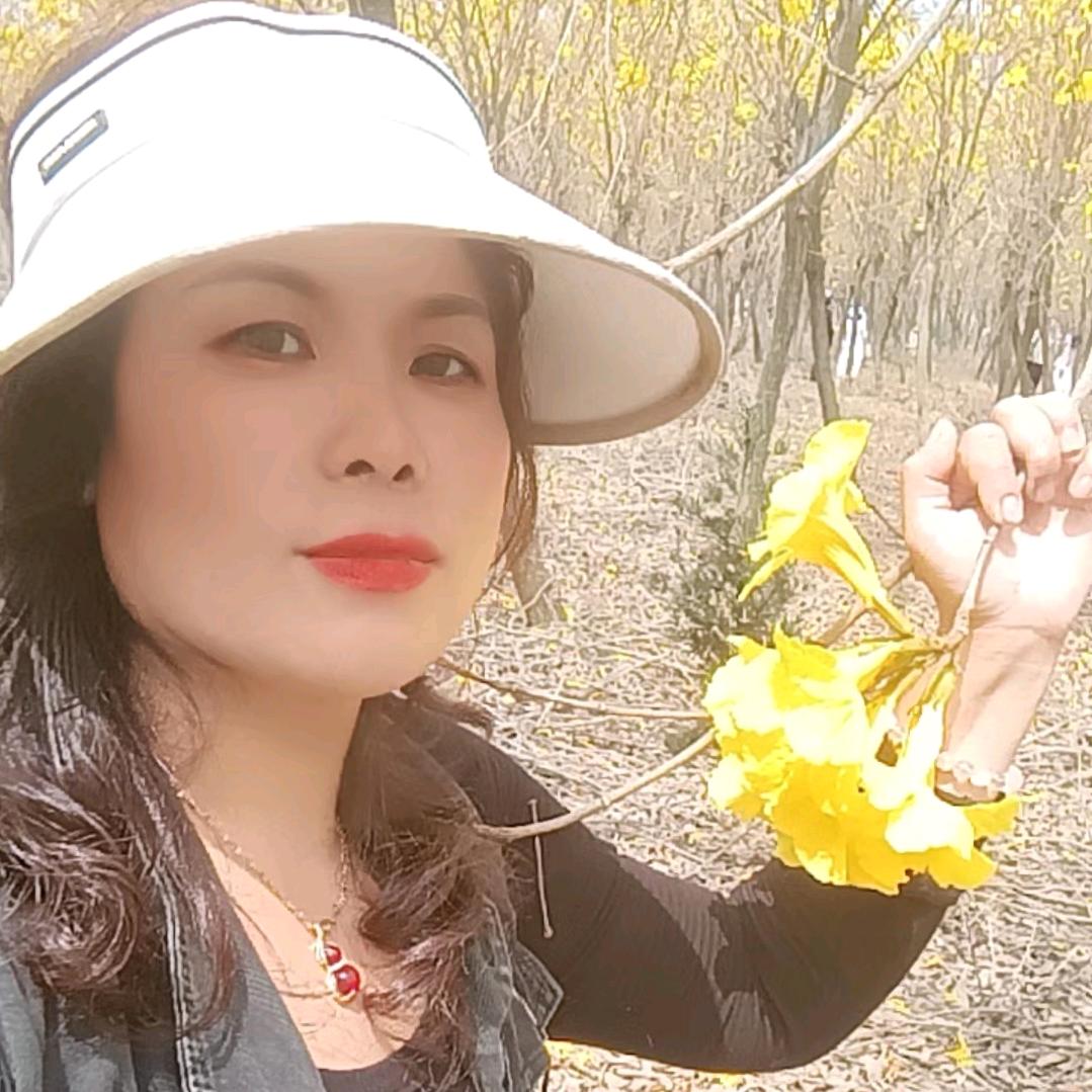 杨姐
