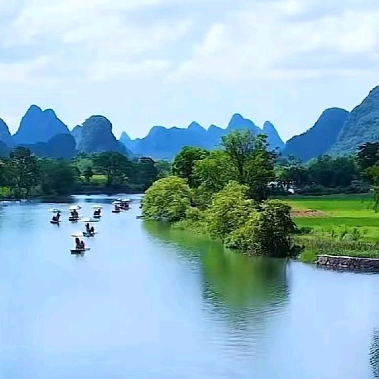 进行，(季节性的水果)