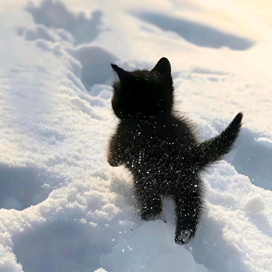 现实不过如此而已！