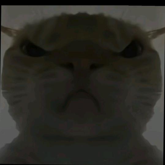 鼠，鼠