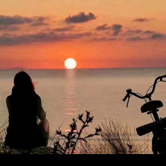 🌹🌷🌺❤💞💕💟