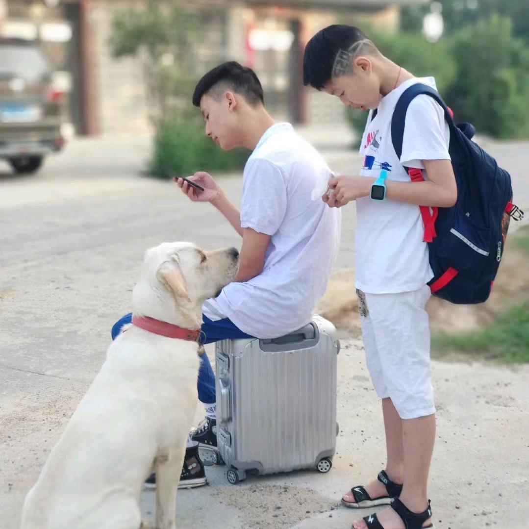 有何不可