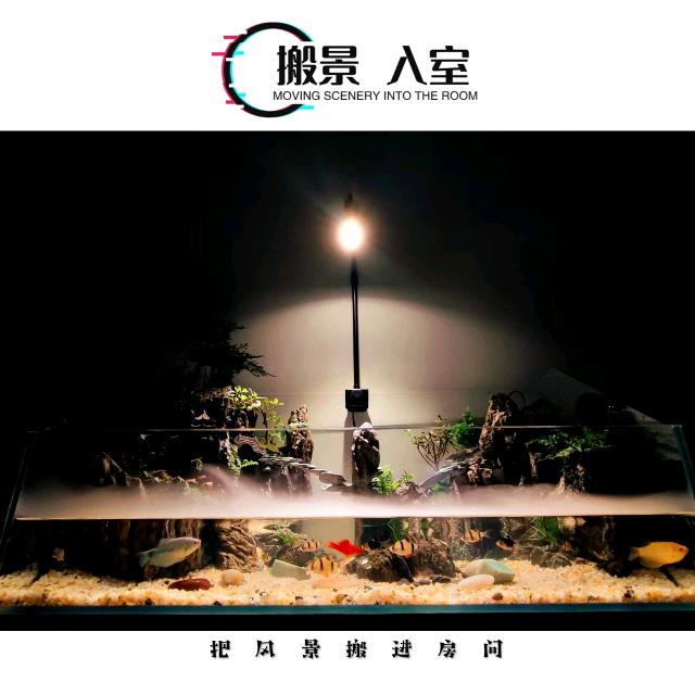 搬景入室(造梦启航)