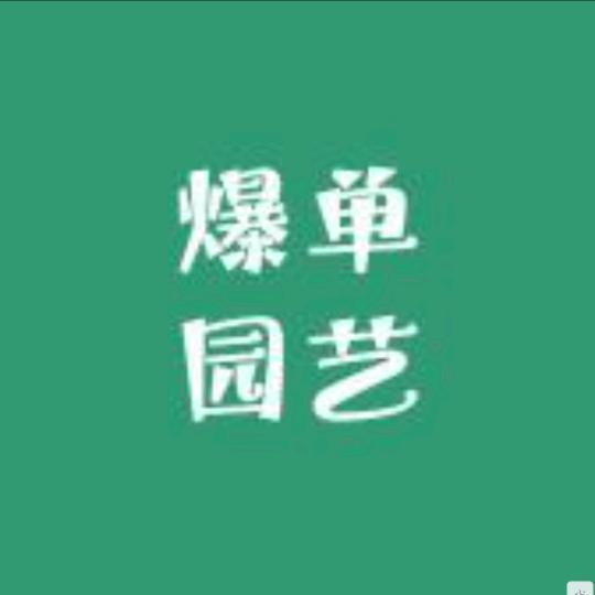 爆单园艺