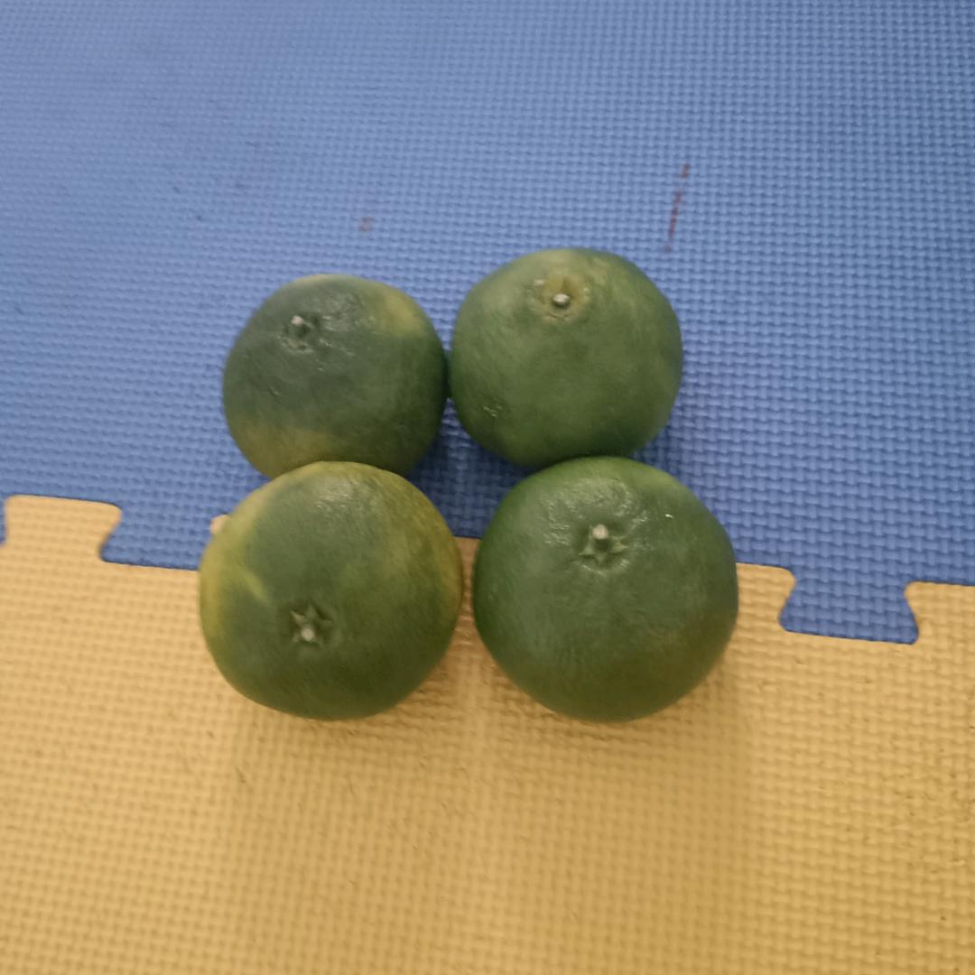 小方
