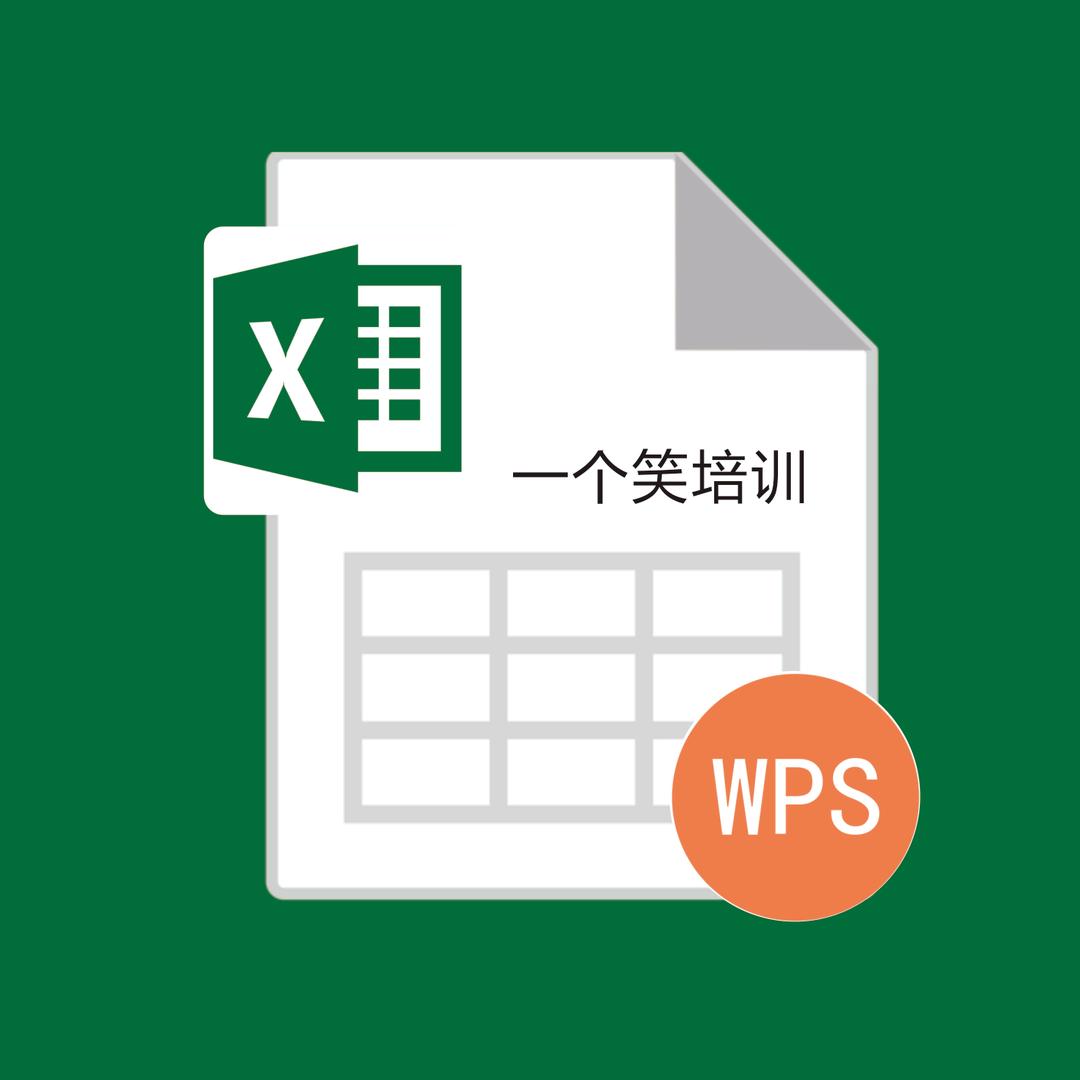 少废话,王同学Excel/WPS培训