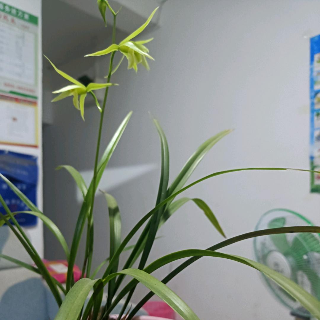 水韵之城