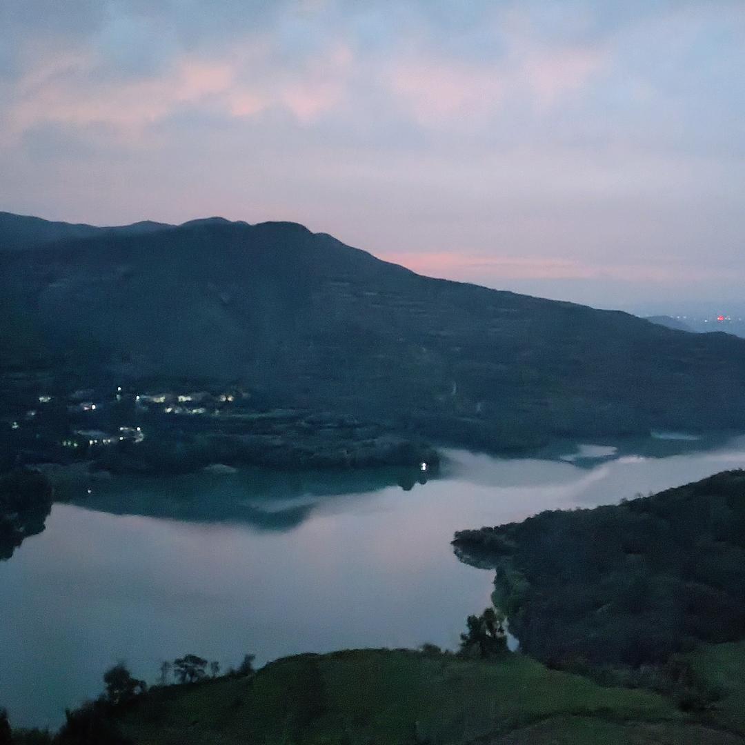 游过烟雨的小金鱼