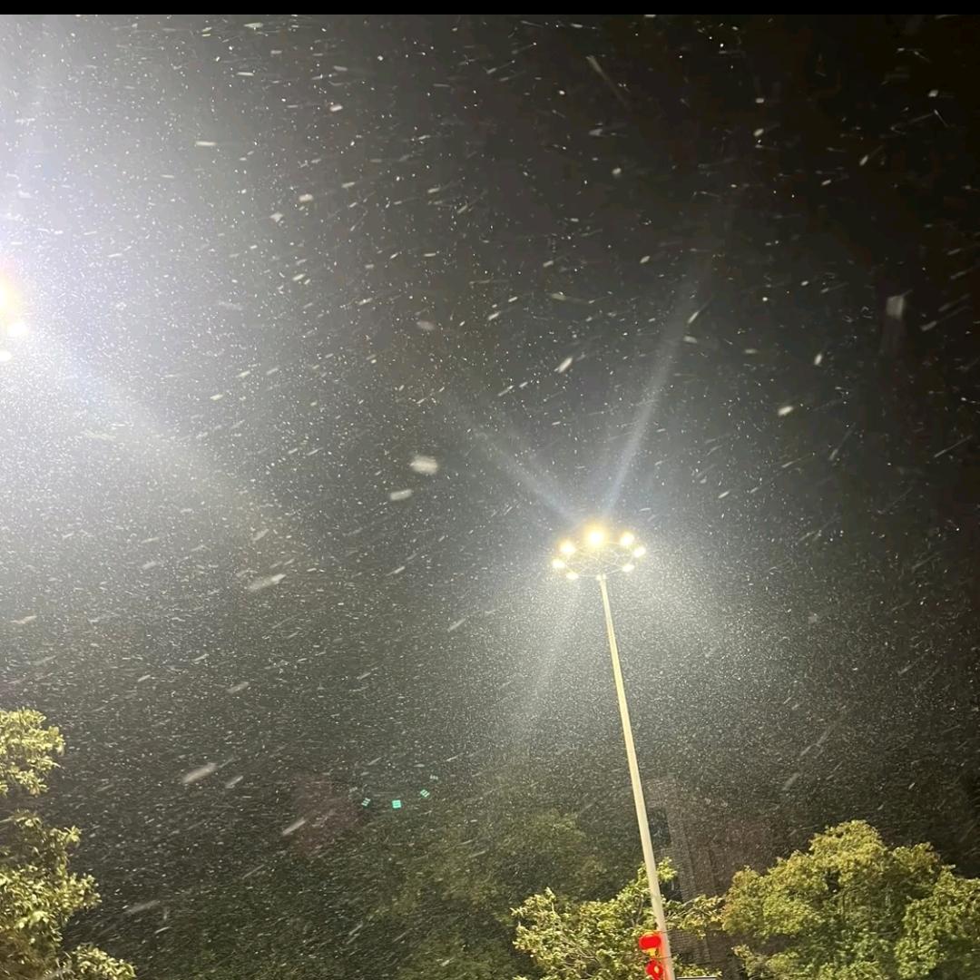 不加糖的咖啡